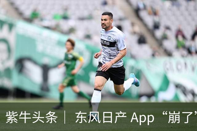 紫牛头条｜ 东风日产 App“崩了”，多名车主上演“人在囧途”，有车主在外“流浪”7 小时